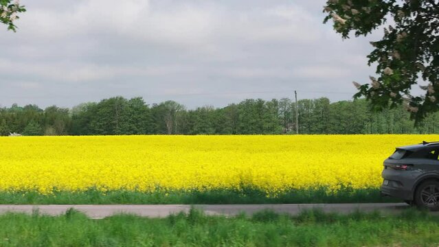 Side view tracking follows electric SUV drive on empty road by yellow field