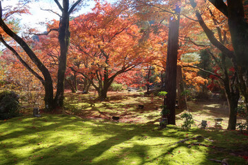 宝厳寺の紅葉