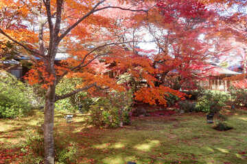 宝厳寺の紅葉