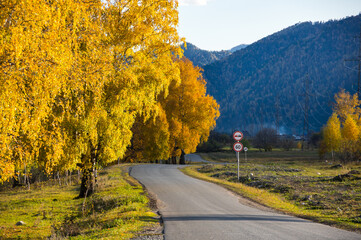 Autumn in Altay mountains