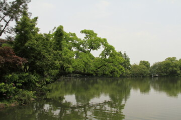 lake and trees