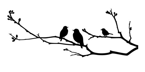 A branch with birds © Mastr