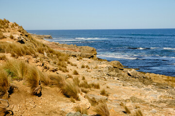 Discover sheltered bay beaches and wild surf beaches, blowholes, caves and unusual rock formations...