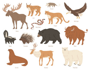North America animals vector illustrations colorful set, Moose, Bison, bear reindeer wild forest animals Skunk, Cougar