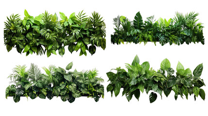 Collection of PNG. Green leaves of tropical plants bush floral isolated on a transparent background.