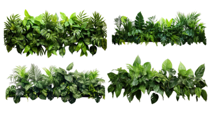 Collection of PNG. Green leaves of tropical plants bush floral isolated on a transparent background.