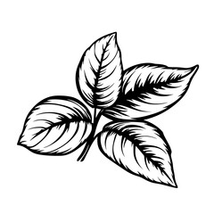 Mint Leaves Logo Monochrome Design Style - obrazy, fototapety, plakaty