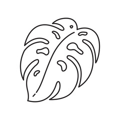 Monstera Leaf or Leaves Collection 6