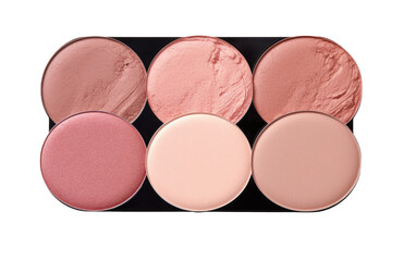 Artistic Expression The Unmarked Beauty of Blush Palette isolated on transparent background