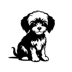 Toy Poodle Logo Monochrome Design Style