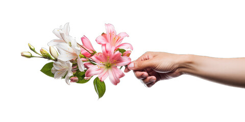 Hands holding a beautiful flower bouquet isolated on transparent background. Flower delivery,...