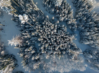 Aerial view of a snow-covered winter wonderland forest in southern Bavaria, Germany