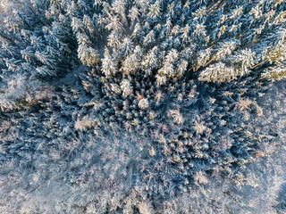 Aerial view of a snow-covered winter wonderland forest in southern Bavaria, Germany