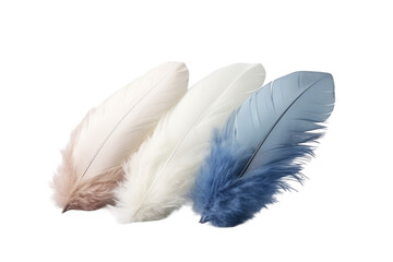 Plume Pillow Feather Collection on Transparent Background, PNG, Generative Ai