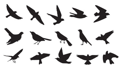 set of silhouettes of birds - obrazy, fototapety, plakaty