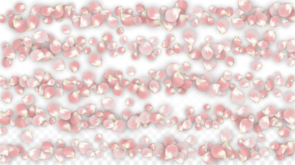 Pink Vector Realistic Petals Falling on Transparent Background.  Spring Romantic Flowers Illustration. Flying Petals. Sakura Spa Design. Blossom Confetti. Design Elements for Wedding Decoration.