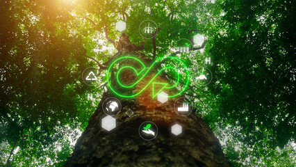 Circular economy symbol icon. Tree background with forest nature. Endless circular economy in...