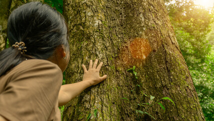 World Environment Day. Woman's hand holding tree forest, fresh morning light from green business...