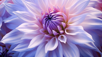 Obraz premium Blume