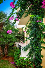 Fototapeta na wymiar Building nestled amidst lush Mediterranean greenery, framed by vibrant bougainvillea blooms and elegant palm trees. Conveying a sense of tranquil living, travel destinations, architectural aesthetics.