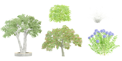 Jungle Dusty miller,erythrina,Atsia,Hydrangea,Ficus benjamina trees shapes cutout 3d render set