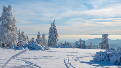 Stunning panorama of snowy landscape in winter in Black Forest - winter wonderland snowscape with...