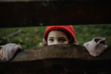 Portrait of little girl hiding behind wooden fence, looking between wooden boards.