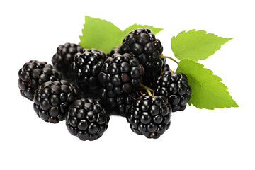 Noir Delicacies: Indulging in the Delectable World of Black Berries isolated on transparent background