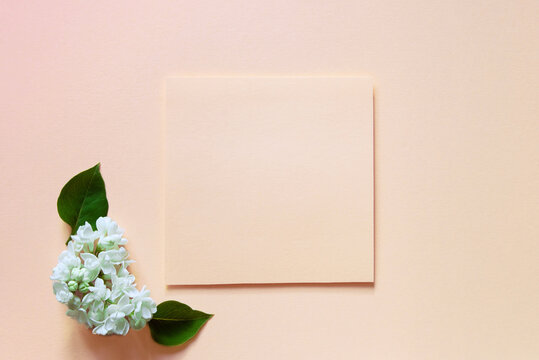 Paper empty blank card and beautiful white lilac flowers on a delicate peach background. Invitation card mockup. Flat lay, top view, copy space. Happy mother's day, birthday, wedding composition.