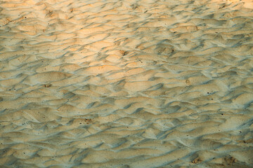 Texture of dirty sand surface as background