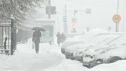 people walking in the city