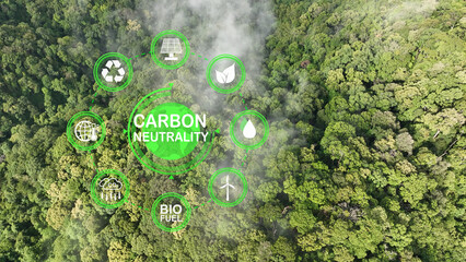Carbon neutrality means having a balance between emitting carbon and absorbing carbon from the atmosphere.
