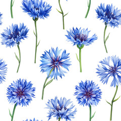  Cornflower, Seamless pattern with wildflowers watercolor. Floral design, elegant botanical background. Blue flowers 