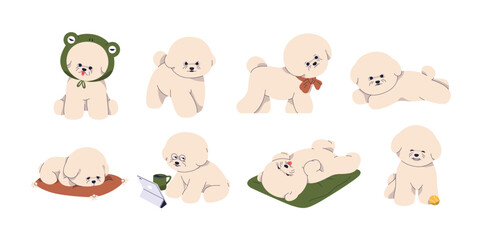 Cute puppy of Bichon frise breed. Funny dogs, little canine animals, toy doggies set. Sweet pups walking, lying, sleeping, playing, relaxing. Flat vector illustrations isolated on white background