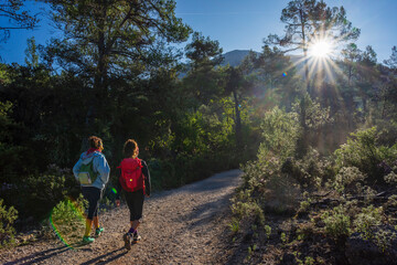 hikers on the great route 221, sa Coma de Binifaldo, Escorca, Majorca, Balearic Islands, Spain
