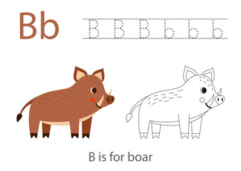 Tracing alphabet letters with cute animals. Color cute brown boar. Trace letter B.