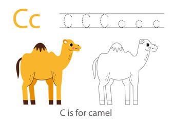 Tracing alphabet letters with cute animals. Color cute camel. Trace letter C.