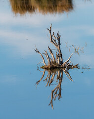 Konya Ak Lake, declared a national park in Turkey, is worth visiting with its hundreds of bird...