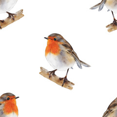 Watercolor robin bird seamless pattern. Hand-drawn red garden bird backdrop for fabric, clothing, wrapping paper, decor. Repeated pattern