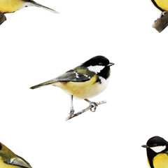 Obraz na płótnie Canvas Watercolor coal tit and great tit birds seamless pattern. Hand-drawn yellow garden birds backdrop for fabric, clothing, wrapping paper, decor. Repeated pattern