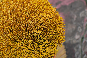 This is the incense stick raw material close up macro shot in the day time in india.