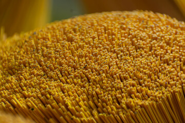 This is the incense stick raw material close up macro shot in the day time in india.