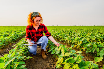 Portrait of female farmer who is cultivating soybean. She is satisfied with good progress of...