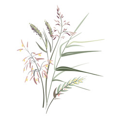 Fototapeta premium Colorful hand drawn sketch. Set of plants on a white background. Medical herb and spice. Vintage grass branch. 