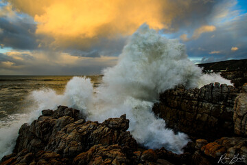 Wave creeping over the rocks