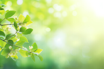 Obraz premium Beautiful natural spring green blurred background