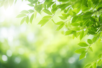 Beautiful natural spring green blurred background