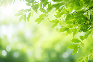Obraz premium Beautiful natural spring green blurred background