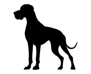 Great Dane Dog silhouette. Vector illustration