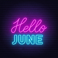 Hello June neon lettering on brick wall background.